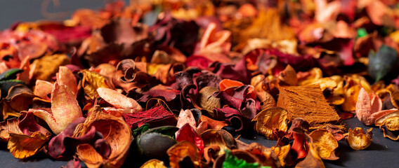 A narrow panorama of the background of dry flowers of red and orange flowers.
