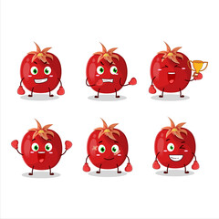 A sporty pomegranate boxing athlete cartoon mascot design