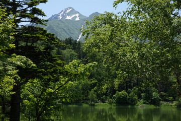 利尻島　姫沼の風景
