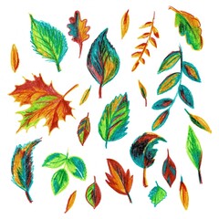 Illustration with bright autumn leaves, set