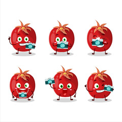 Photographer profession emoticon with pomegranate cartoon character