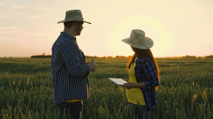 Senior farmer and woman farmer. Farmer and businessman talking, working in wheat field, making...