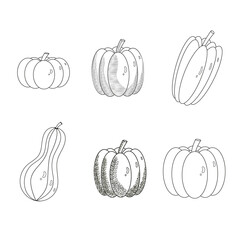 A set of pumpkins in black and white. Pumpkins are etched and stylized under the shadow. Vector image of pumpkins, vegetables. The style of doodles. For menus, book illustrations, logos, and ingredien