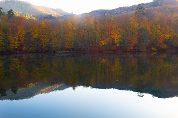 Naklejka premium The national park in Bolu, which should be seen in autumn. (Yedigöller Milli Parkı). Bolu, Istanbul, Turkey.