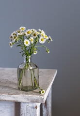 Still life with a small bouquet of meadow daisies. Minimalism.