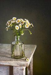 Still life with a small bouquet of meadow daisies. Minimalism.