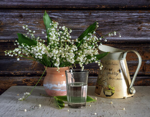 A beautiful bouquet of freshly cut white and fragrant lilies of the valley.