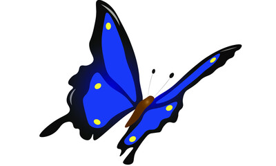 blue butterfly with dots flying in sky