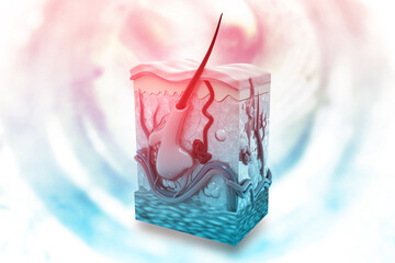 Human skin anatomy on science background. 3d illustration