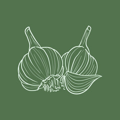 Garlic Line vector illustration. Detailed Food icon for mobile concept, print, menu, and web apps. For for restaurant, bar, vegan, healthy and organic food, market, farmers market.