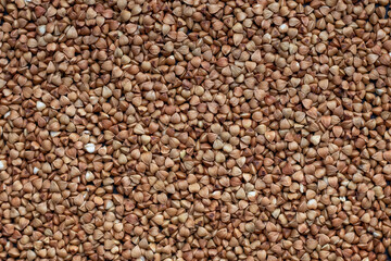 buckwheat groats background 