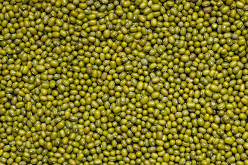 green mung background