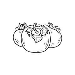 Persimmon Line vector illustration. Detailed Food icon for mobile concept, print, menu, and web apps. For for restaurant, bar, vegan, healthy and organic food, market, farmers market.