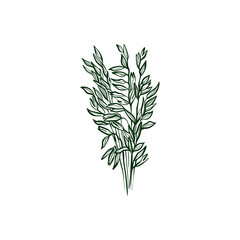 Oats Line vector illustration. Detailed Food icon for mobile concept, print, menu, and web apps. For for restaurant, bar, vegan, healthy and organic food, market, farmers market.