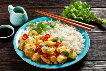 Mango glazed spicy chicken breast chunks with rice
