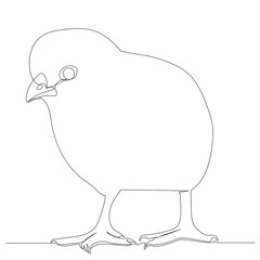 chicken drawing one continuous line sketch, isolated, vector
