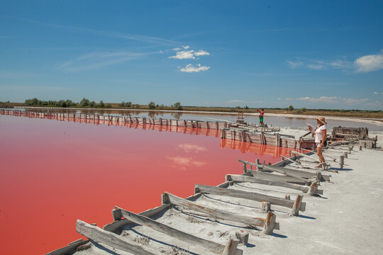 Pink lake located near the Kinburn spit in the Kherson region