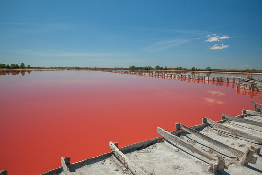 Pink lake located near the Kinburn spit in the Kherson region