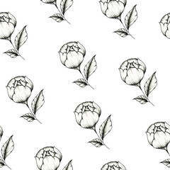 Peony bud seamless background on white, hand drawn back and white flower sketch, botanic illustration for wedding stationary, greetings, wallpapers, fashion, wrapping paper, fashion, textile