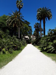 Ogród botaniczny w Rzymie.  Orto Botanico. Roma, Italia.