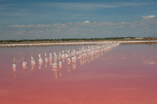 Pink lake located near the Kinburn spit in the Kherson region
