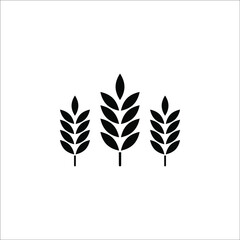 Farm wheat ears icon vector template on white background