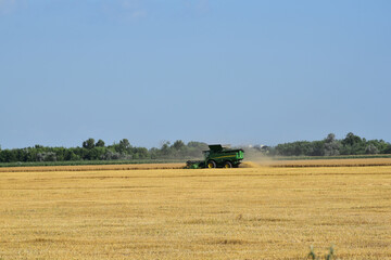 Fototapeta na wymiar Combine-harvester working in field of ripe yeallow wheat,agricultural photo