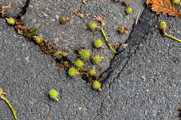 Sturmschaden nach heftigem Frühlingsgewitter