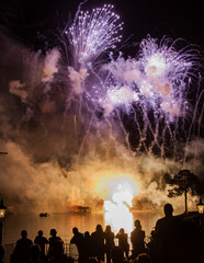 Fototapeta na wymiar Fireworks in the night. Orlando, Florida, USA, February 2014