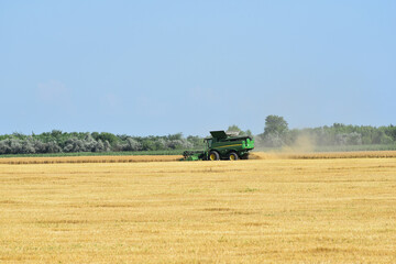 Combine-harvester working in field of ripe yeallow wheat,agricultural photo