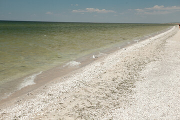 deserted sea coast against a blue sky in the summer