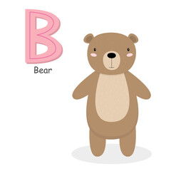 Letter B and a cute cartoon bear. Children's English alphabet. It is suitable for the design of postcards, books, leaflets, banners, birthday invitations. Colorful vector illustration