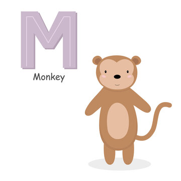 Letter M and a cute cartoon monkey. Children's English alphabet. It is suitable for the design of postcards, books, leaflets, banners, birthday invitations. Colorful vector illustration