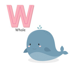 Letter W and a cute cartoon whale. Children's English alphabet. It is suitable for the design of postcards, books, leaflets, banners, birthday invitations. Colorful vector illustration