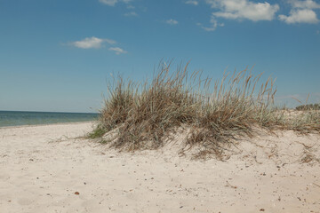 deserted sea coast against a blue sky in the summer