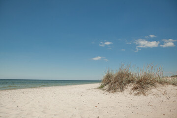 deserted sea coast against a blue sky in the summer