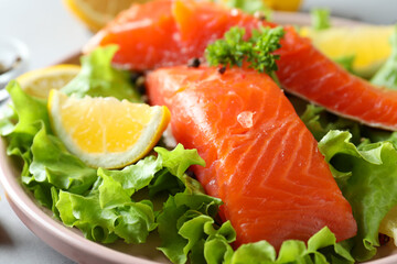 Fresh raw salmon and ingredients for cooking, close up