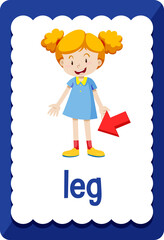 Vocabulary flashcard with word Leg