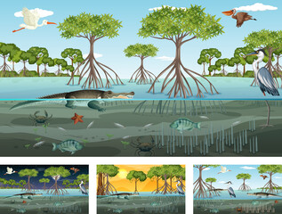 Different mangrove forest landscape scenes with animals