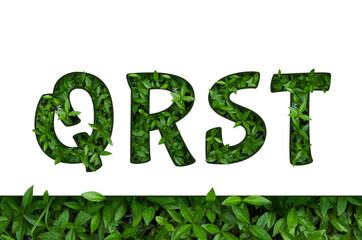 Flower font Alphabet Q, R, S, T made of Real alive flowers with Precious paper cut shape of letter.