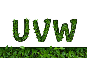 Flower font Alphabet U, V, W made of Real alive flowers with Precious paper cut shape of letter.