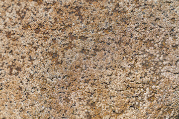 Textura de roca de playa con manchas