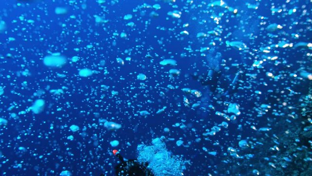 SCUBA Divers ascend in sunlit waters. Great Barrier Reef