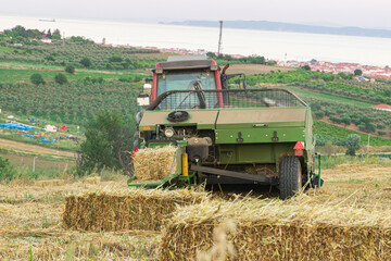 Tractor with harvester attach, harvesting hay crops, creating haystacks on field