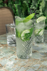 gin tonic mojito glass coktail water ice lime tropical leaves table drink