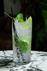 gin tonic mojito glass coktail water ice lime tropical leaves table drink