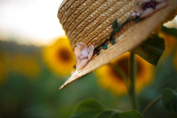 The hat hangs in a sunflower field