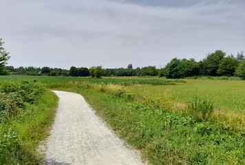 Pista ciclopedonale in campagna in estate
