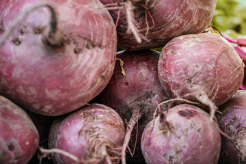 Purple beetroots displayed at street food market, closeup detail