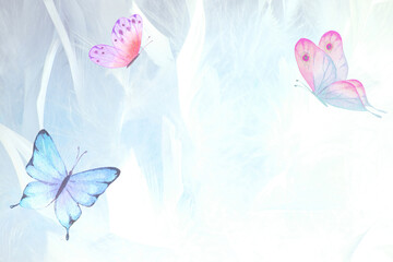Abstract wedding horizontal butterfly background. Pastel light blue backdrop